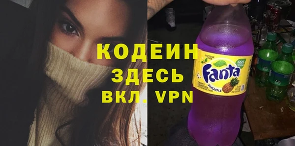 прущие грибы Гусь-Хрустальный
