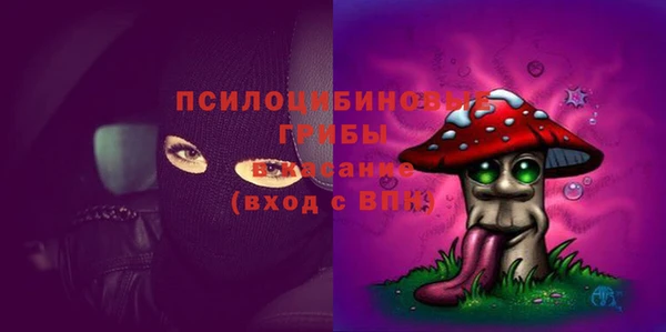 прущие грибы Гусь-Хрустальный