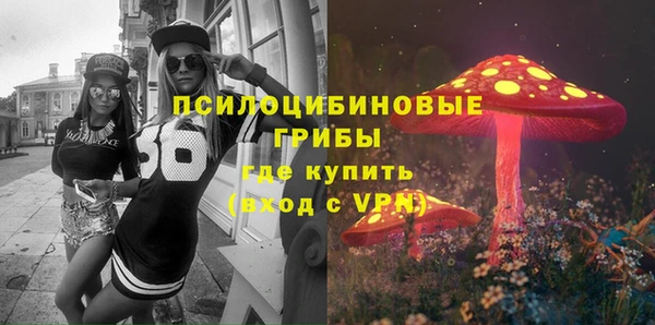 a pvp Горняк