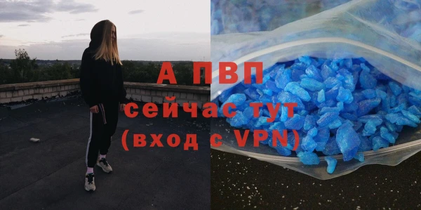 прущие грибы Гусь-Хрустальный