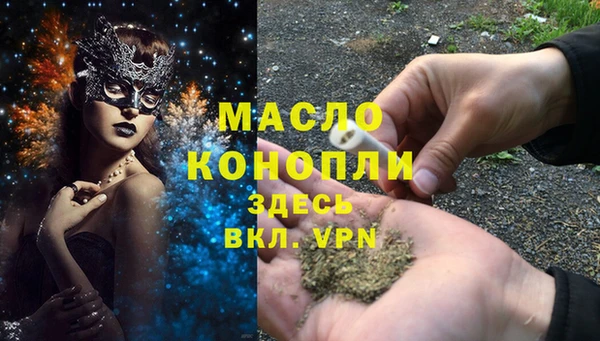 прущие грибы Гусь-Хрустальный