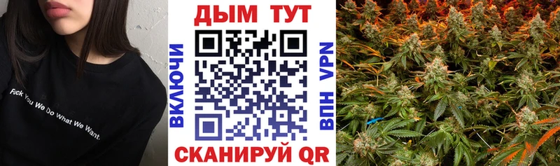 где можно купить   Нея  Шишки марихуана гибрид 